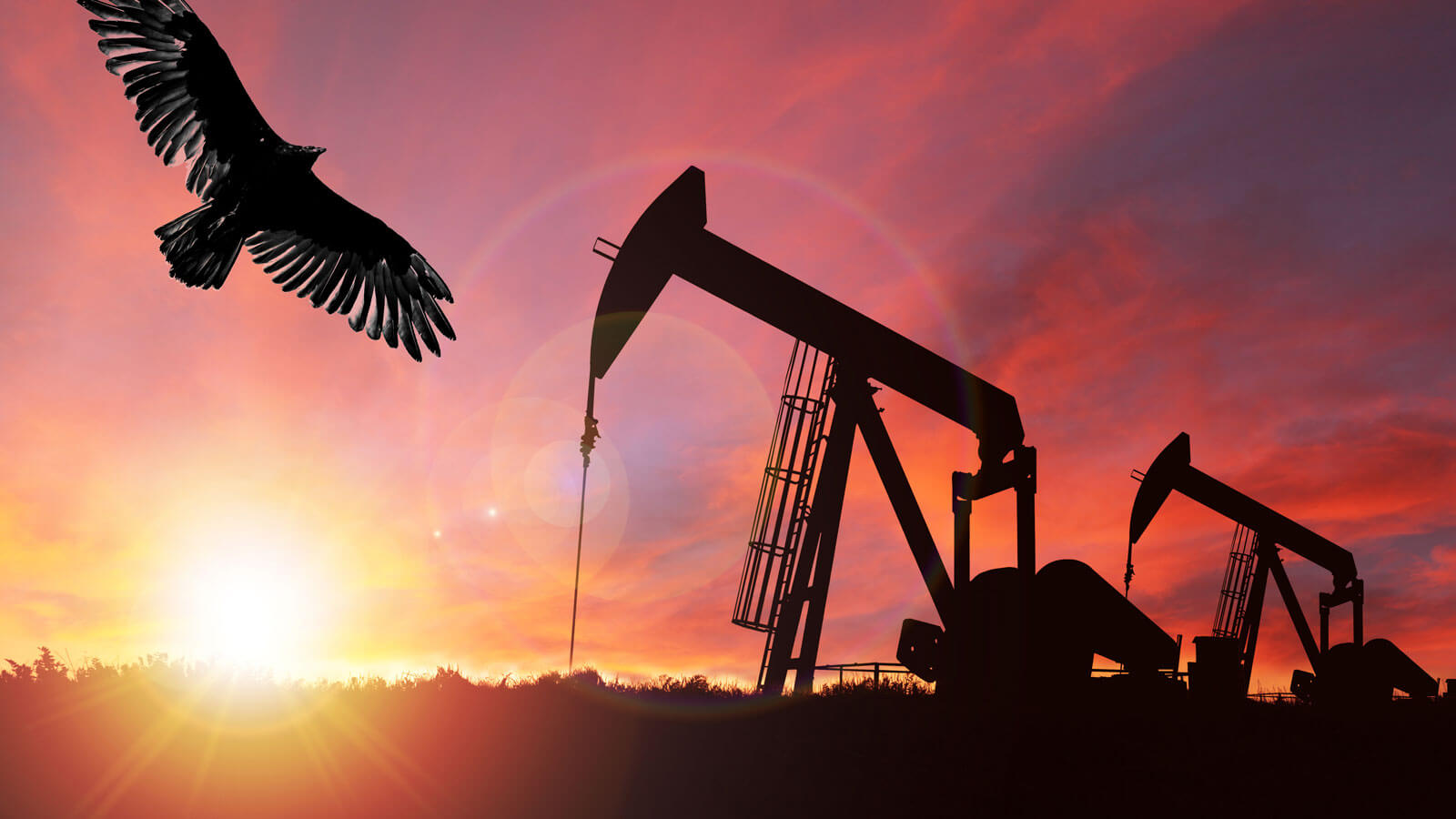 Sunset with an eagle flying in front of oil pump jacks.